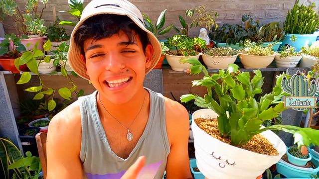 10 PLANTAS FAVORITAS 2022 (Plantas De Interior, Suculentas, Cactus Y Más) | Cattu!