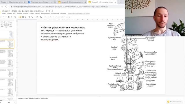 Курс Пранаямы для преподавателей - 1 фев.-1 авг. 2023г. смотреть онлайн