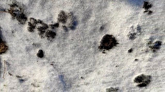 Народный праздник «Спиридон Солнцеворот». 24 декабря. Что нельзя делать. смотреть онлайн