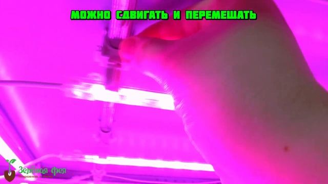 Стеллаж для выращивания зелени и микрозелени от сити-фермы Зелёная Фея смотреть онлайн