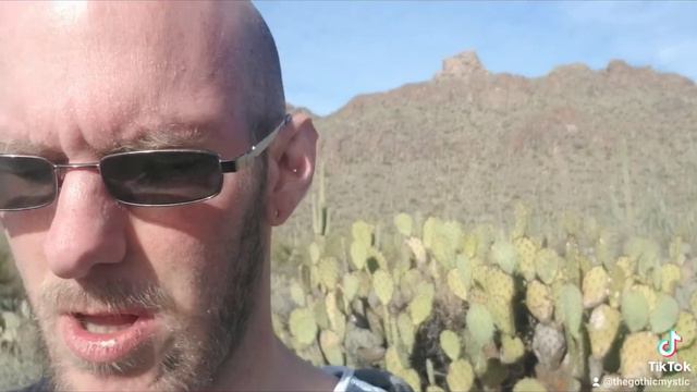 Did you see cactus in your dream? смотреть онлайн