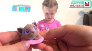 Sweet Box Пушистики Кошечки и Котики ✿ ВСЯ КОЛЛЕКЦИЯ распаковка игрушек на русском Cats Surprise