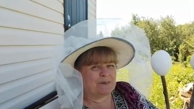 Бабочка- капустница. Простой метод защиты. смотреть онлайн