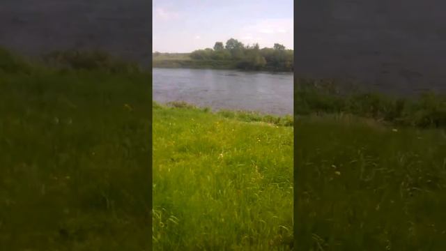 Река конго покорение часть 1 / 3 смотреть онлайн