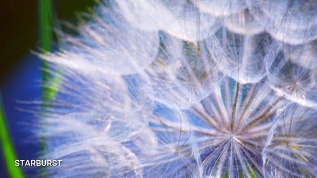 2018 Photo Contest смотреть онлайн