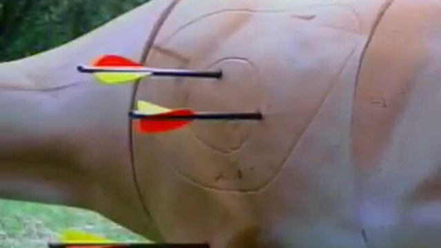 Crossbow Training Part X - Practice Range Set Up смотреть онлайн