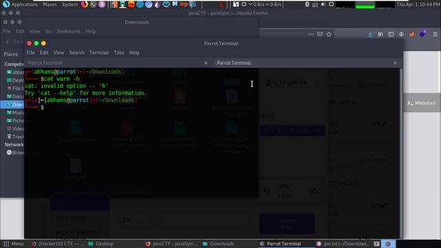 picoCTF 2021 | General Skills | Wave a flag смотреть онлайн