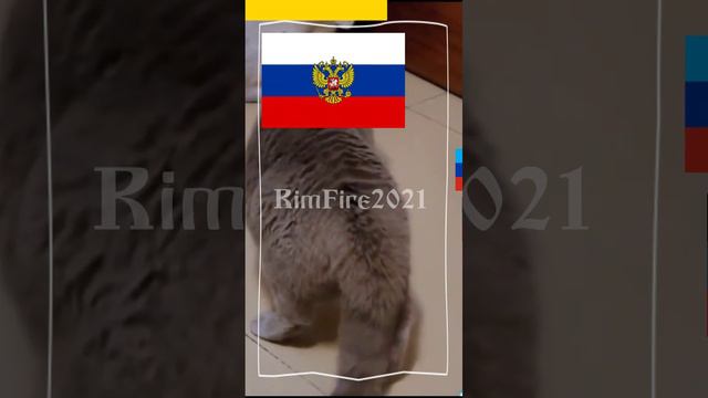 1000798817.mp4 смотреть онлайн