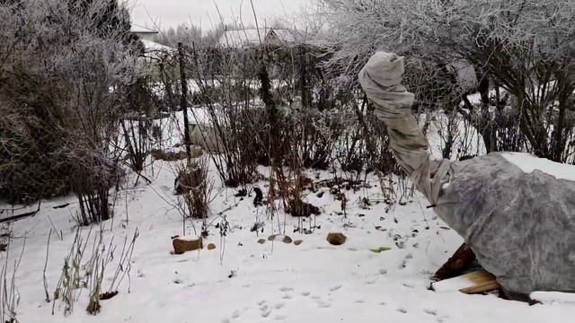 Заплатила налоги за продажу картин. А вот с налогами на продажу растений ещё нужно разбираться.? смотреть онлайн