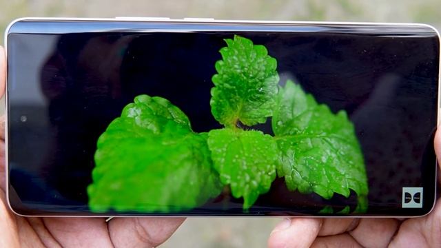 Realme 10 Pro Plus New A.25 / A.26 Update | Camera & Performance Degraded?| New System Update