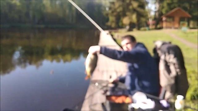 Ловля карпа на Верхнем водоёме. Дальняя дистанция и живые насадки. Клёвое место лосиный остров смотреть онлайн