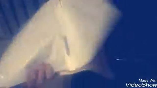 Меня оценивоют художник 60левала и очень хорошо рисует. смотреть онлайн