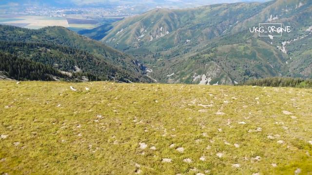 РиддерI Проходной белок I горы  I природа вко I UKGDRONE