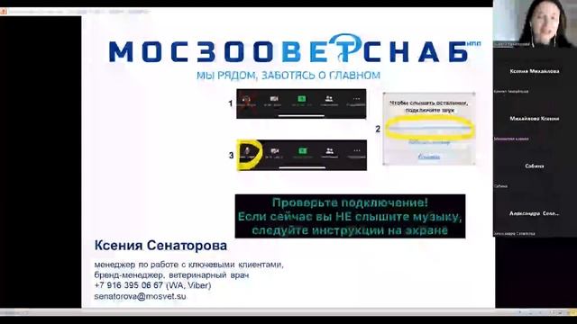 «Собака и кошка Как их подружить» смотреть онлайн