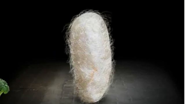 Игра Митоза смотреть онлайн