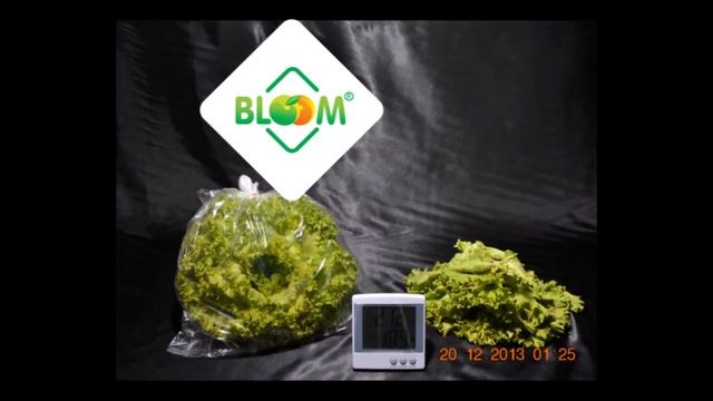 Салат в пакете Bloom смотреть онлайн