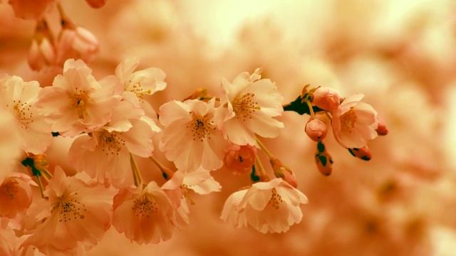 ЗА ТУЧАМИ ВСЕГДА ЕСТЬ СОЛНЦЕ смотреть онлайн