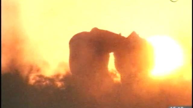 Формула Анилина смотреть онлайн