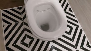 Распаковка — Унитаз напольный Керамин Альбано R