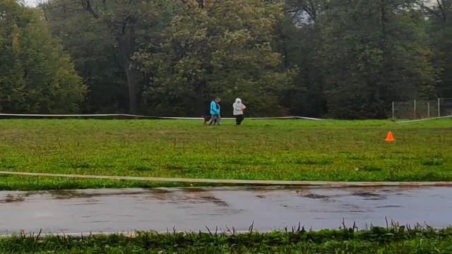 07.09.2019 г. Уфа. Джили. Обидиенс-1. смотреть онлайн