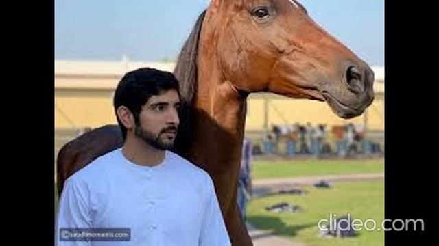 Love Is a Feeling | Sheikh Hamdan’s poem (فزاع sheikh Hamdan) crown prince of dubai #fazza смотреть онлайн