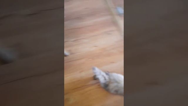 Ходите в гости по утрам.. смотреть онлайн