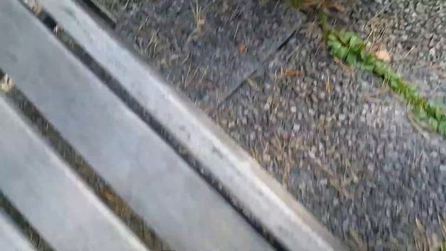 Mustis haluaa jälkkäriä смотреть онлайн