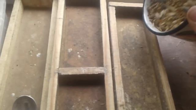 Послевыставочный обзор птиц,беседы от птичника смотреть онлайн