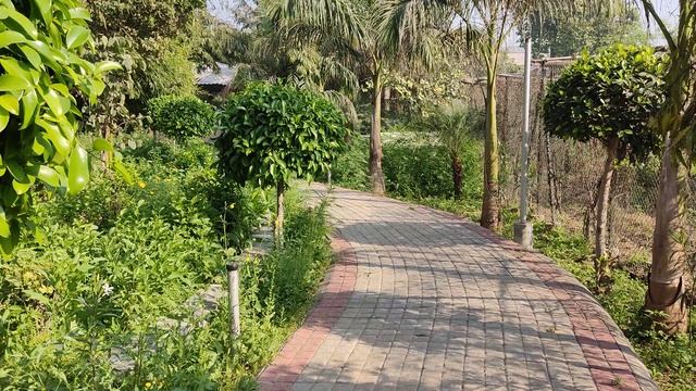 Школа Раджа Йоги. Ретрит Центр. Гургаон 8 смотреть онлайн