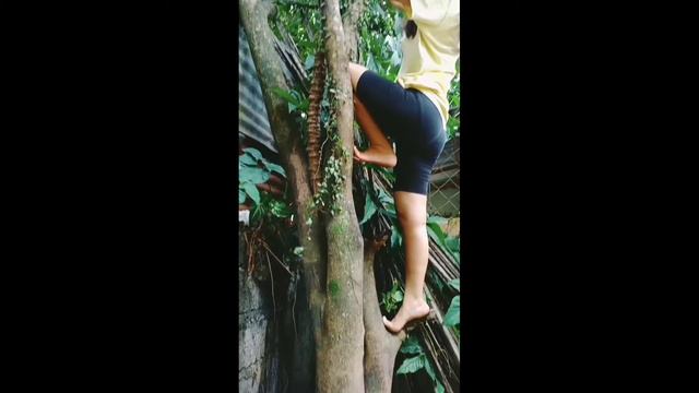 Plant Hunting Found Hoya Plant And Bird's Nest Fern/ Potting Them In A Recycled Basket Hanging Pot
