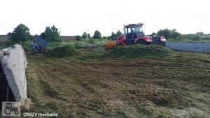 Заготовка силоса 2020, закладка силосной ямы около комплексов.