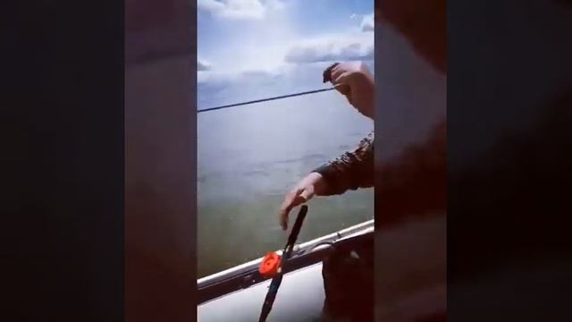 Отдых дикарями в новосибирске смотреть онлайн