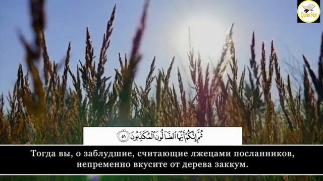 СУРА 56."АЛЬ-ВАКИЯ" АЛЛАХ НАГРАДИТ СПОКОЙСТВИЕМ, БОГАТСТВОМ И БЛАГАМИ И ЗАЩИТИТ ОТ НИЩЕТЫ ИНШААЛЛА смотреть онлайн
