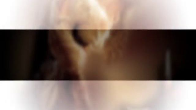 Тимофей Любимов Тот кто не любил смотреть онлайн