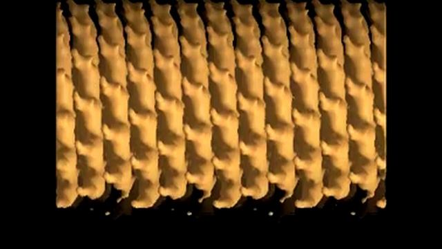 WEMC video: Reconstruction of Tobacco mosaic virus смотреть онлайн