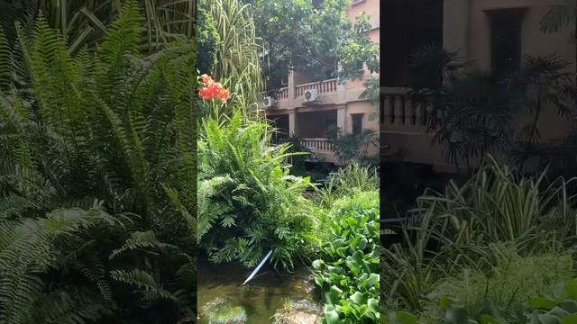 #таиланд Север Паттайи, Плюмерия - Plumería Resort смотреть онлайн