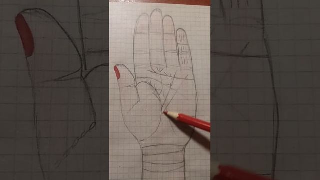 линии счастья на ладони смотреть онлайн