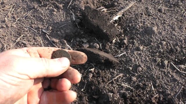 Нарвались на кладовую распашку монет / нашли драгоценности смотреть онлайн