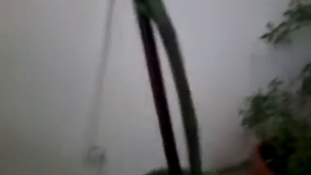 изменения в орхидеи смотреть онлайн