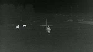 Тепловизионный прицел Fortuna 50L3