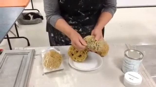 How to choose and clean a Sea Sponge смотреть онлайн