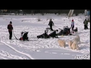 НА ПРОГУЛКЕ С МЛАДШИМ ВНУКОМ...