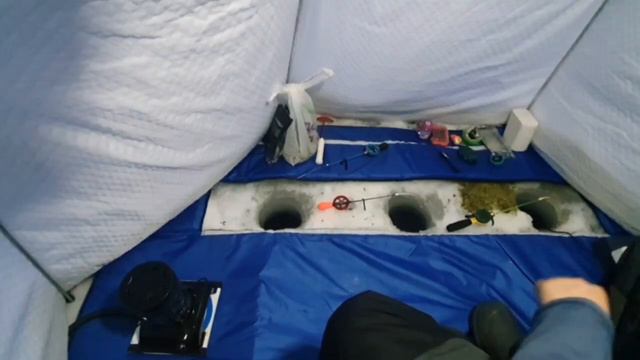 Белоярка болт ✌️ смотреть онлайн