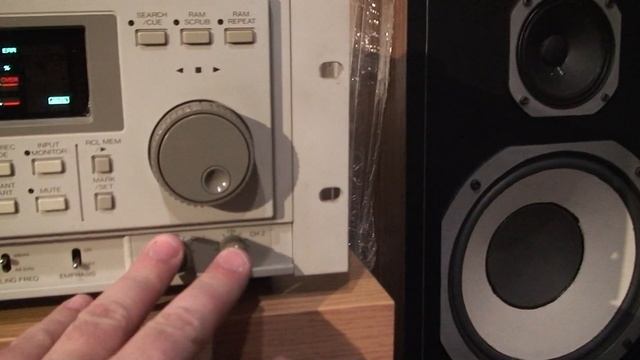 FOSTEX D-10 краткий обзор