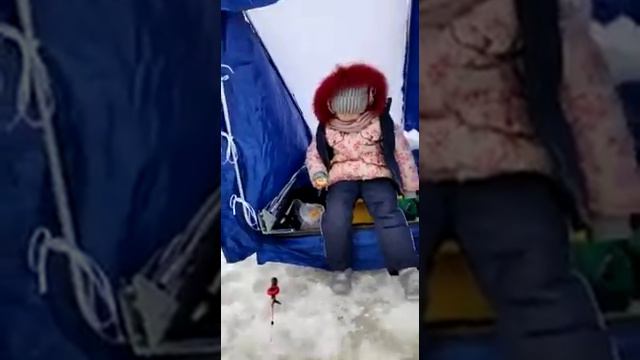 мобильная палатка в Минске смотреть онлайн