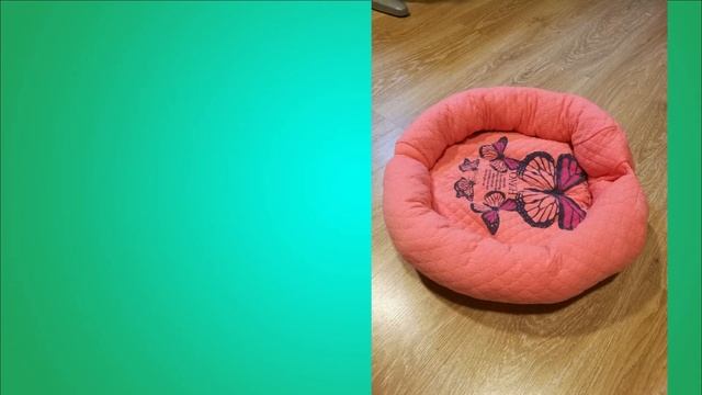 ЛЕЖАНКА ДЛЯ КОШЕК смотреть онлайн