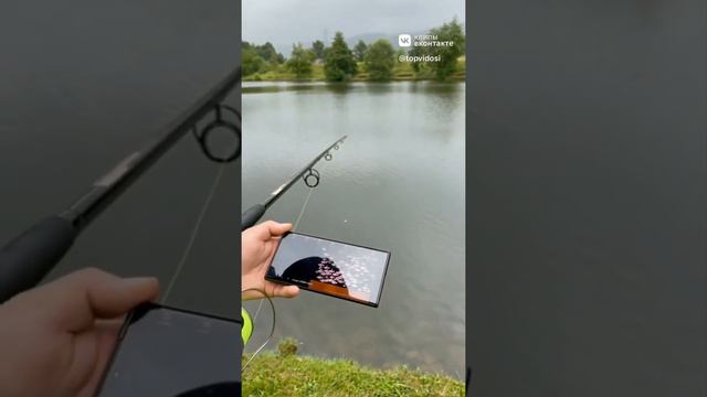 Портативный эхолот с управлением через смартфон смотреть онлайн