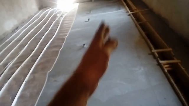 Свинарник на 15 парасят шымкент