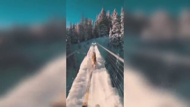 Смешные ПРИКОЛЫ 2022 № 5 смотреть онлайн