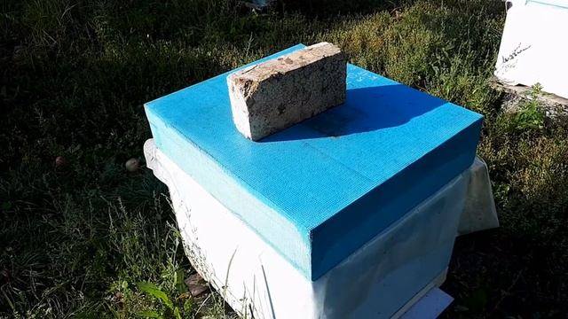 Побудительная подкормка пчел для стимуляции матки!!! смотреть онлайн